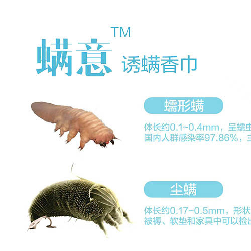 诱螨香巾